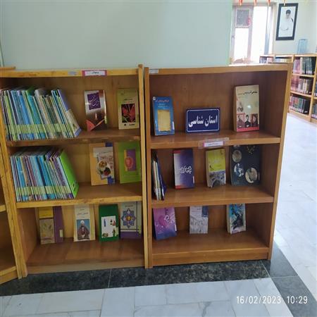 کتب نوسوادان و کتب استان شناسی( نویسندگان و شعرای شهر )